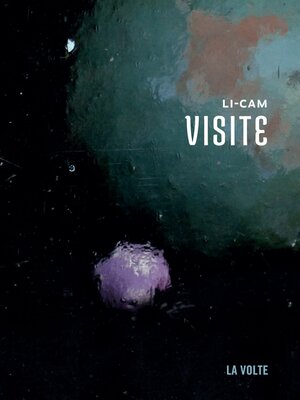 cover image of Visite